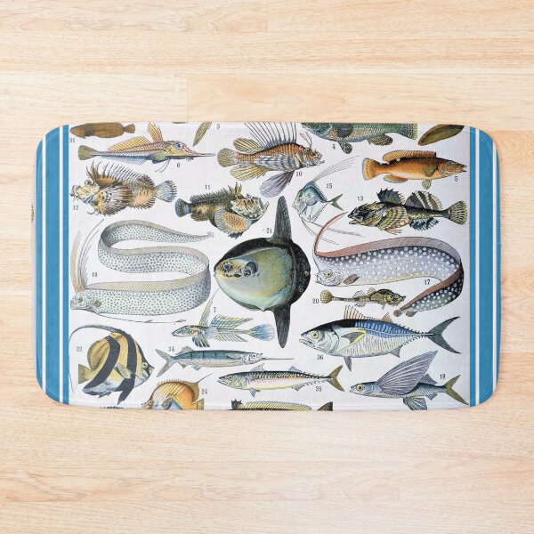 Item preview,  Varieties of Fish chart poster art - Adolphe Millot  designed and sold by Vintage Designs +.