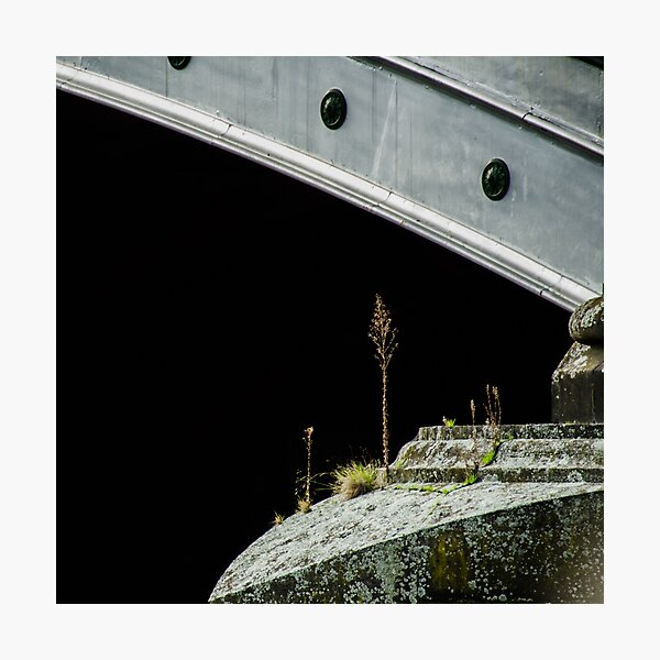 Striving Photographic Print