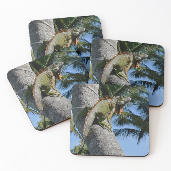Item preview, Iguana Key West designed and sold by DocSaunders.