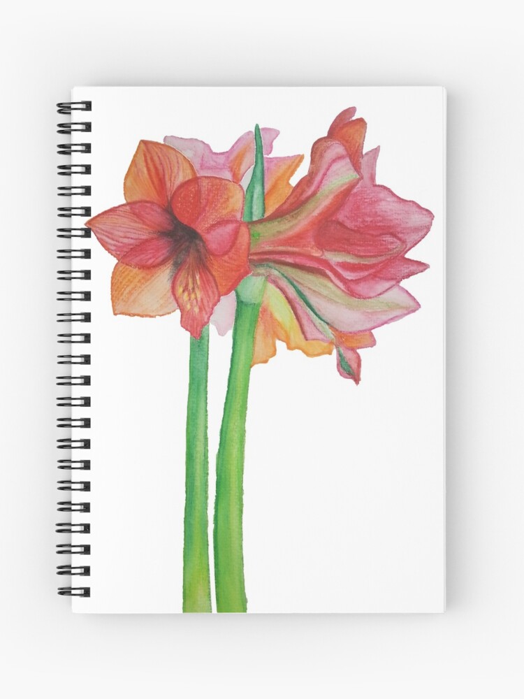 Cuaderno de espiral «Hermosa flor de amarilis» de Arts-of-Emma | Redbubble