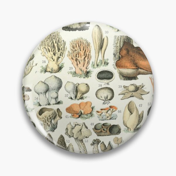 Item preview, Varieties of Mushrooms and Toadstools chart poster art - Adolphe Millot  designed and sold by Vintage Designs +.