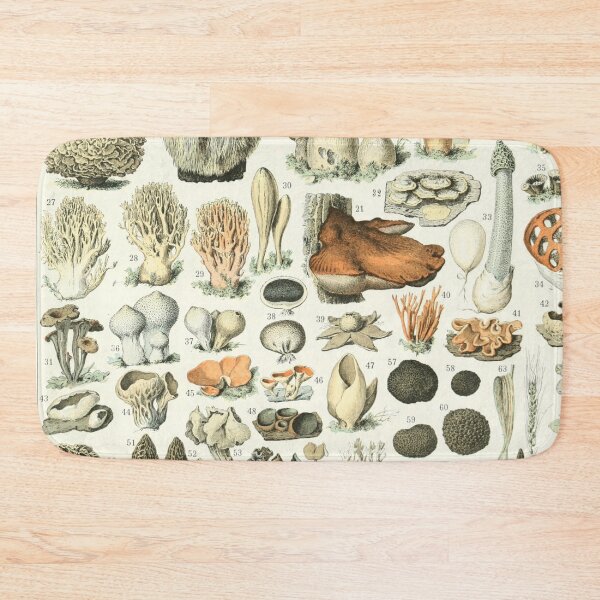 Item preview, Varieties of Mushrooms and Toadstools chart poster art - Adolphe Millot  designed and sold by Vintage Designs +.