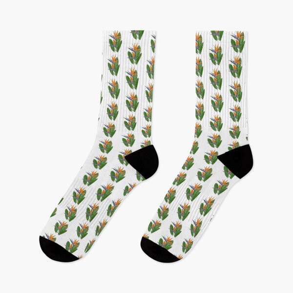 Item preview, Bird of Paradise designed and sold by designxtravel.