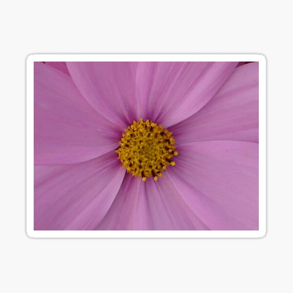 flower Sticker