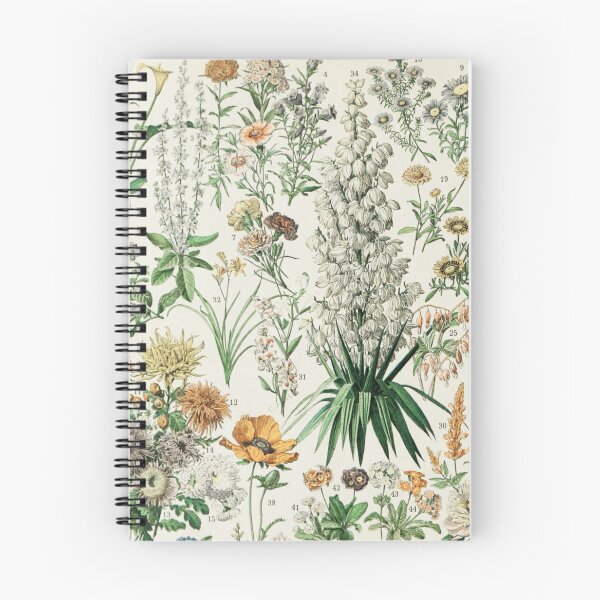 Item preview,  Varieties of fleurs-pour tous chart poster art - Adolphe Millot  designed and sold by Vintage Designs +.