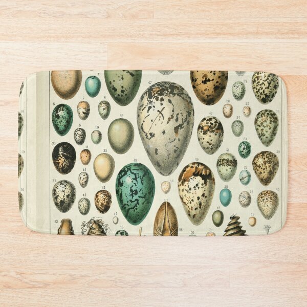 Item preview, Types of eggs of chart poster art - Adolphe Millot  designed and sold by Vintage Designs +.