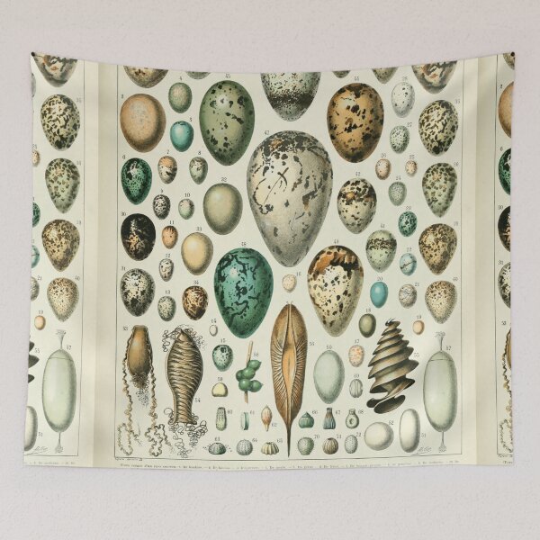 Item preview, Types of eggs of chart poster art - Adolphe Millot  designed and sold by Vintage Designs +.