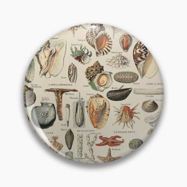 Item preview,  Varieties of Ocean life chart poster art - Adolphe Millot  designed and sold by Vintage Designs +.