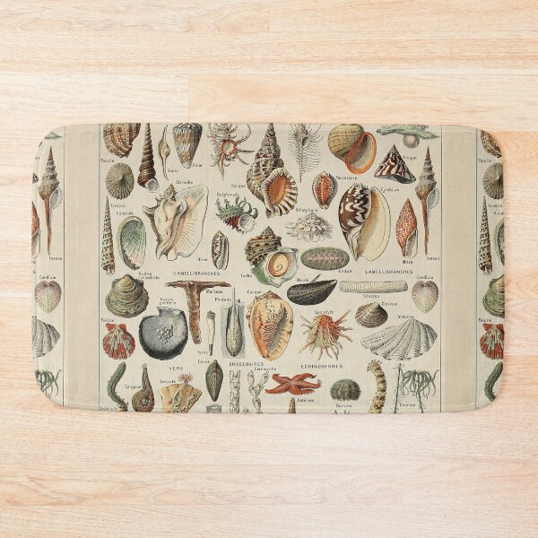 Item preview,  Varieties of Ocean life chart poster art - Adolphe Millot  designed and sold by Vintage Designs +.