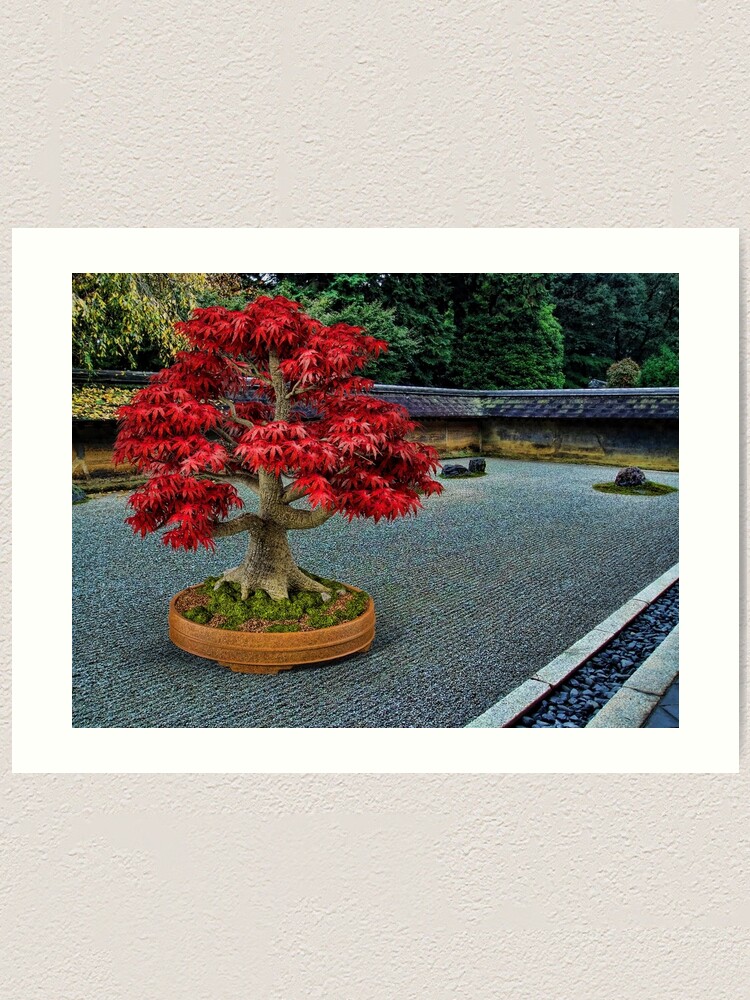 PixelSquid Red Bonsai Tree in the Zen Garden Poster for Sale by GolemAura