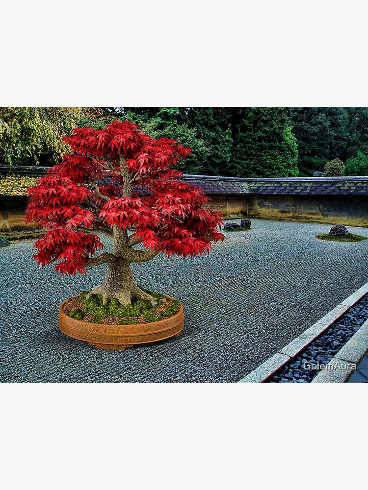 PixelSquid Red Bonsai Tree in the Zen Garden | Poster