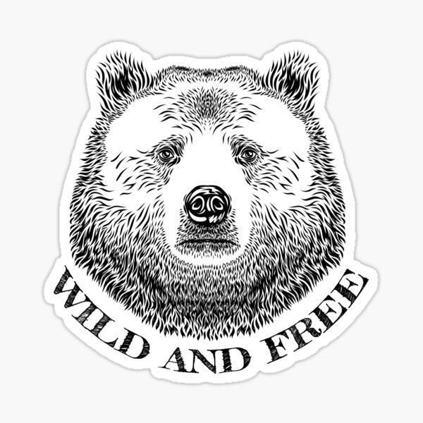 Bear Head, Wild And Free, Hand Drawn Illustration Sticker