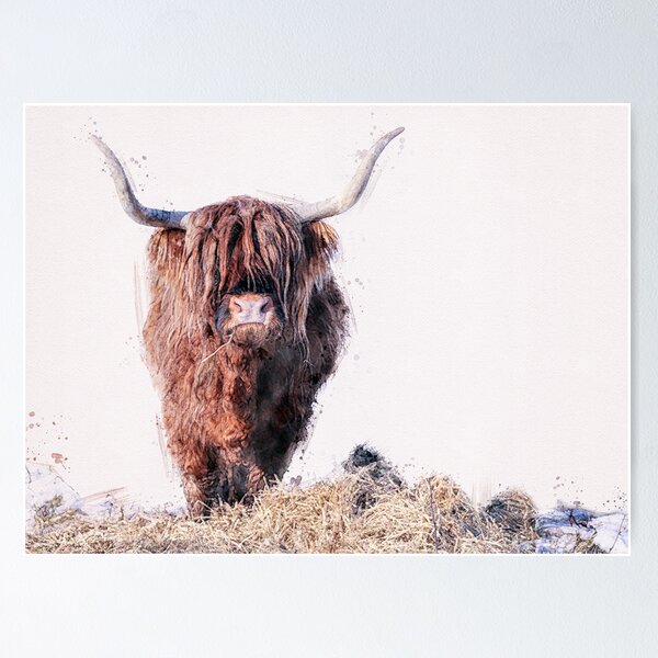 Item preview, Arlo the Highland Coo designed and sold by Roz Goodman.