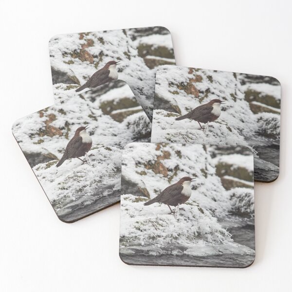 Item preview, Tweet it baby tweet it. White-throated dipper designed and sold by Jouko Lehto Photography.