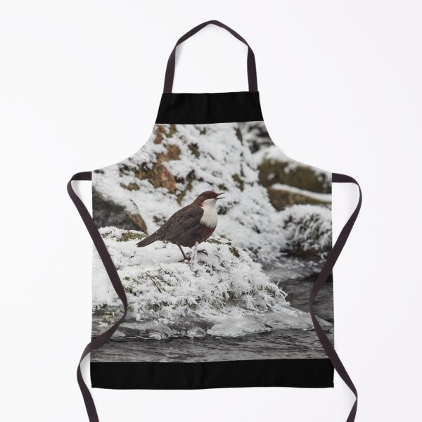 Item preview, Tweet it baby tweet it. White-throated dipper designed and sold by Jouko Lehto Photography.