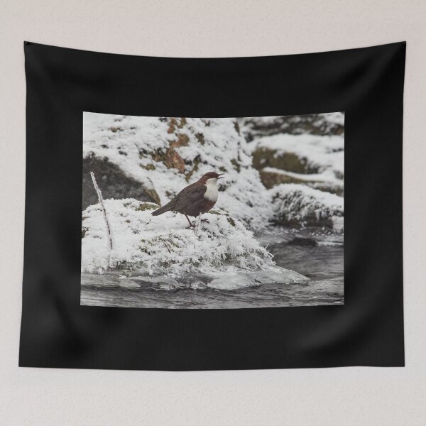 Item preview, Tweet it baby tweet it. White-throated dipper designed and sold by Jouko Lehto Photography.