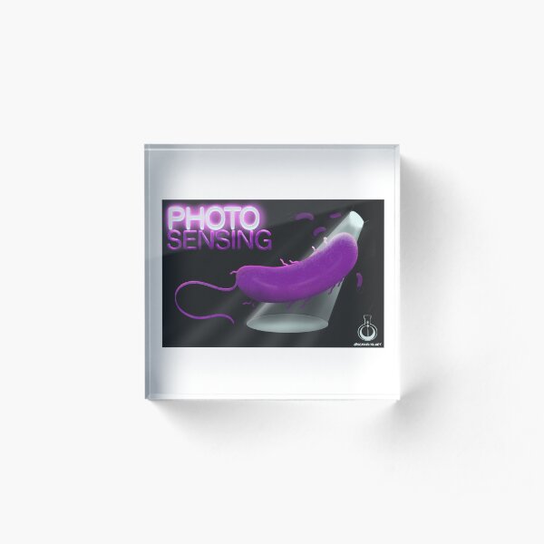 Photo Sensing (Pseudomonas) Acrylic Block
