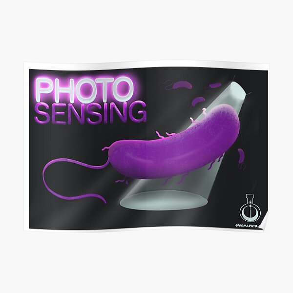Photo Sensing (Pseudomonas) Poster