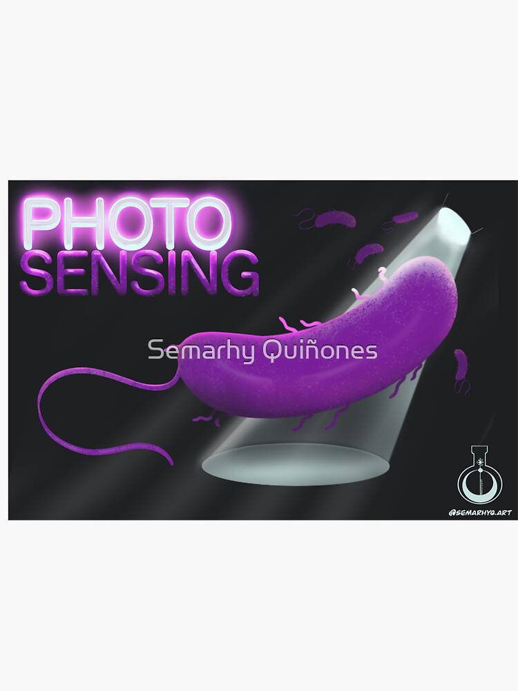 Photo Sensing (Pseudomonas) by semarhy