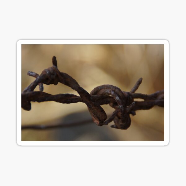 Item preview, Barbed Wire by Avril Thomas at Magpie Springs designed and sold by MagpieSprings.