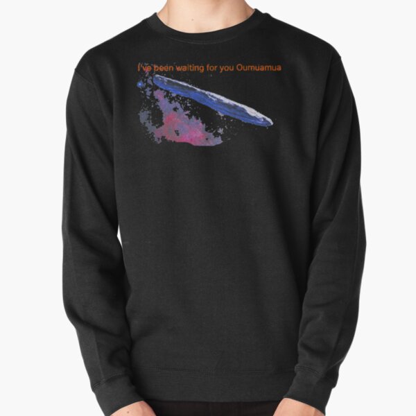 Oumuamua I've been waiting for you Pullover Sweatshirt