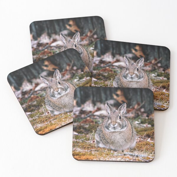Item preview, Auggie designed and sold by MarkBethoney.