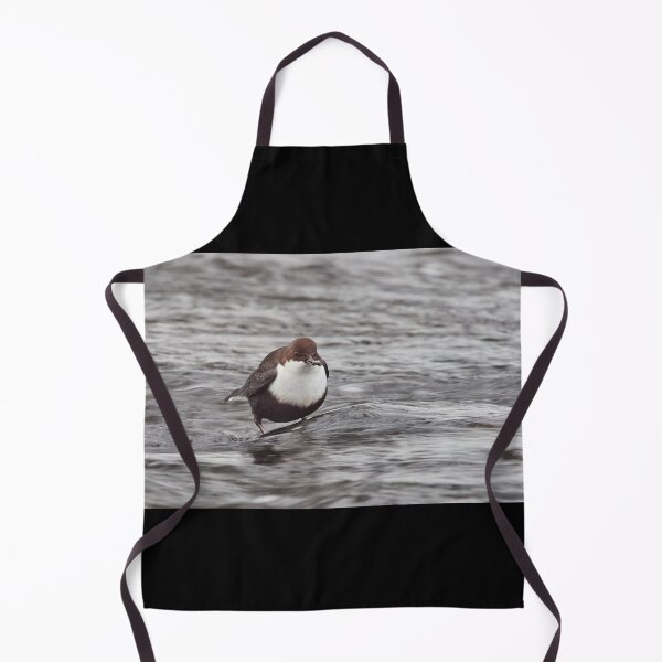 Item preview, Have a little snack. White-throated dipper designed and sold by Jouko Lehto Photography.