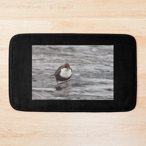 Item preview, Have  a little snack. White-throated dipper designed and sold by Jouko Lehto Photography.