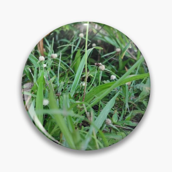 Item preview, Grass designed and sold by saravana.