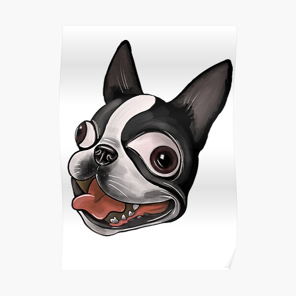 Funny Boston terrier dog Funny Boston terrier dog