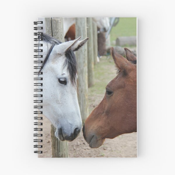 Item preview, Kissing Horses designed and sold by griffingphoto.
