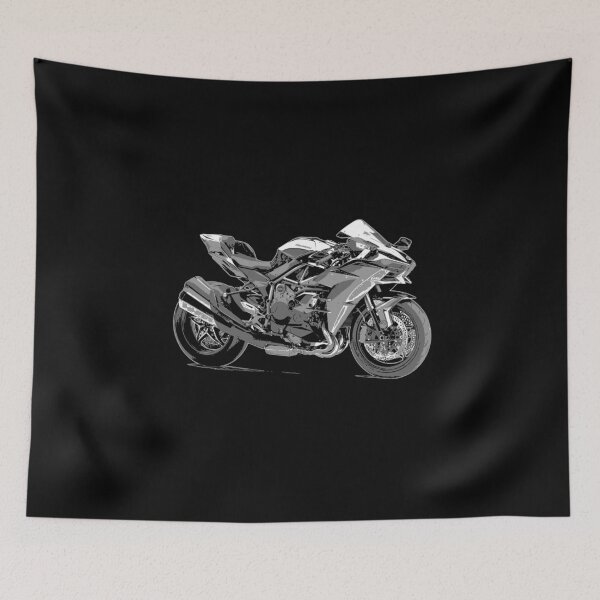 Item preview, Kawasaki Ninja graphic illustration designed and sold by M3EX.