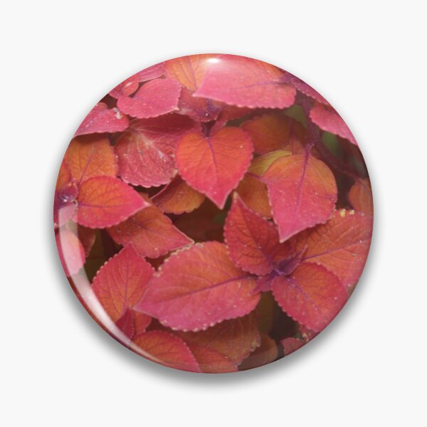 Item preview, Autumn Time designed and sold by BENZMARCEL.