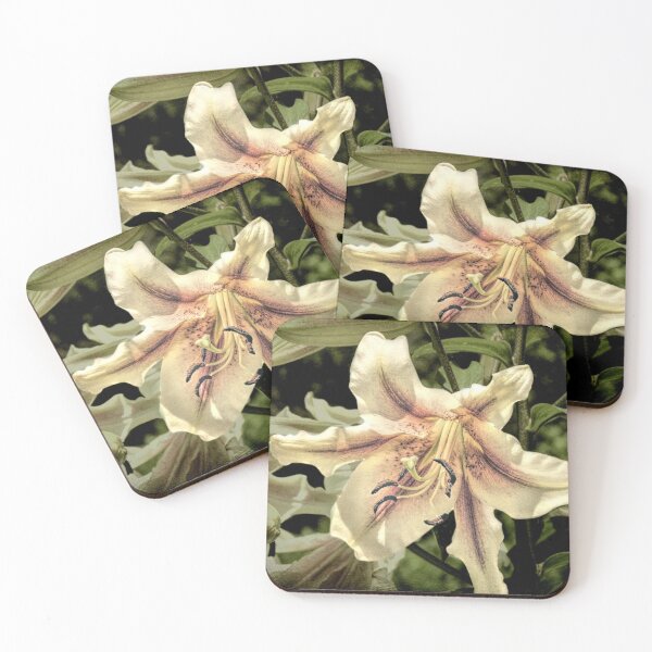 Item preview, Ivory Lily Flower Cottage Chic Floral Country Home Decor USA A844 designed and sold by byNicol.
