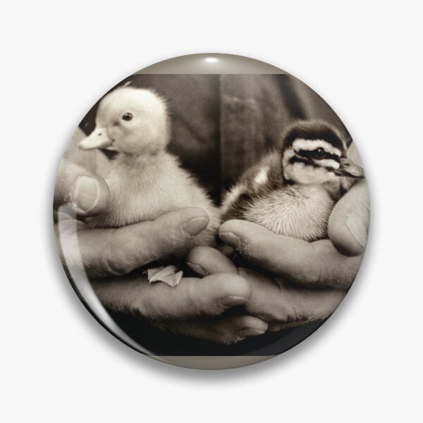 Item preview, Ducklings  designed and sold by Laurie Minor.