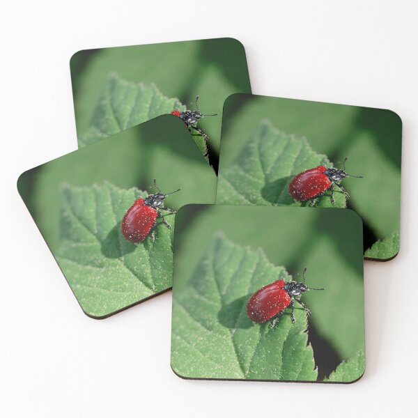 Item preview, Poplar leaf beetle designed and sold by NW-Photo-Art.