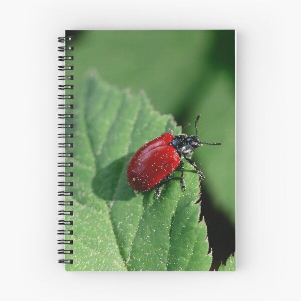 Item preview, Poplar leaf beetle designed and sold by NW-Photo-Art.
