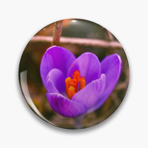 Item preview, Autumn Crocus Care flowers designed and sold by SzendeB.