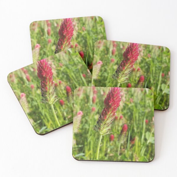 Item preview, Meadow of Celosia Flowers designed and sold by asmullikin.