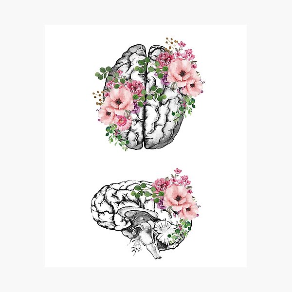Brain with roses, plant lovers, front and side brain, watercolor Photographic Print