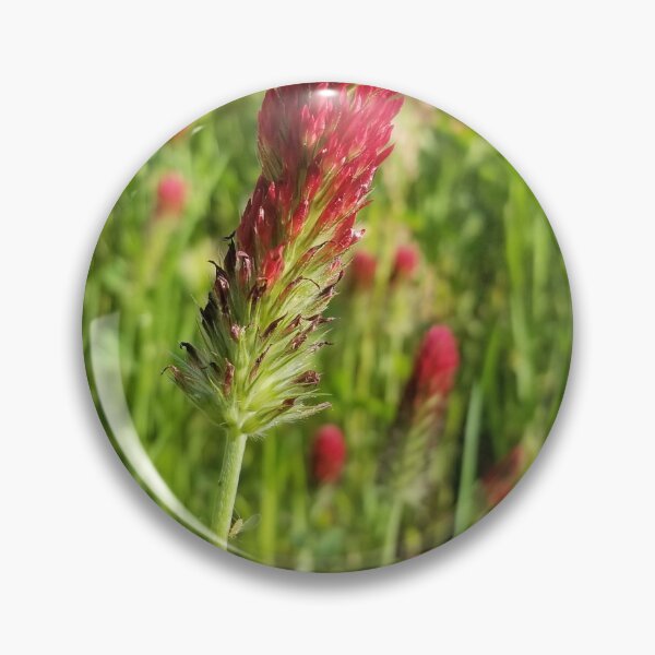 Item preview, Meadow of Celosia Flowers designed and sold by asmullikin.