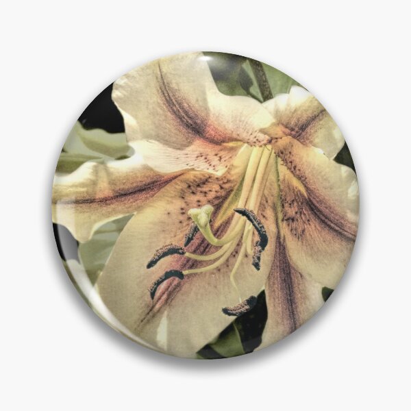 Item preview, Ivory Lily Flower Cottage Chic Floral Country Home Decor USA A844 designed and sold by byNicol.