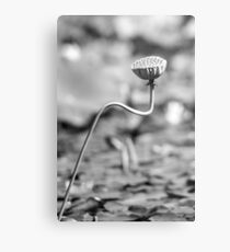 Blue Lotus Metal Print