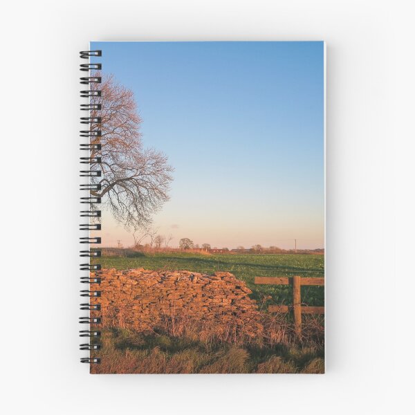 Item preview, Evening light designed and sold by Jeff  Wilson.