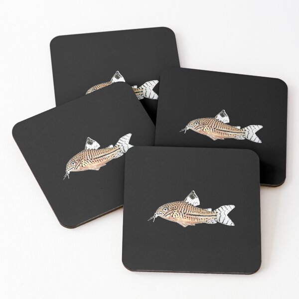 Item preview, Leopard Corydoras - For all Cory lovers designed and sold by AquariumExp.