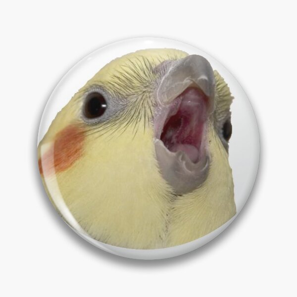 Item preview, Cockatiel Screaming designed and sold by dontdoellisd.