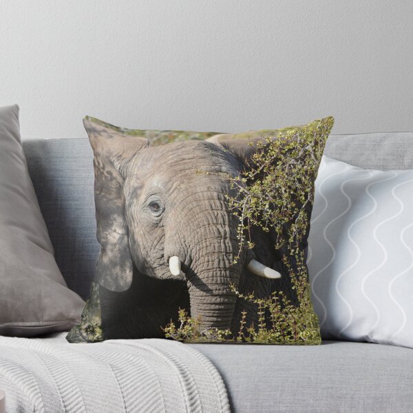 Item preview, Young elephant in the trees designed and sold by Roy-Babiuk.