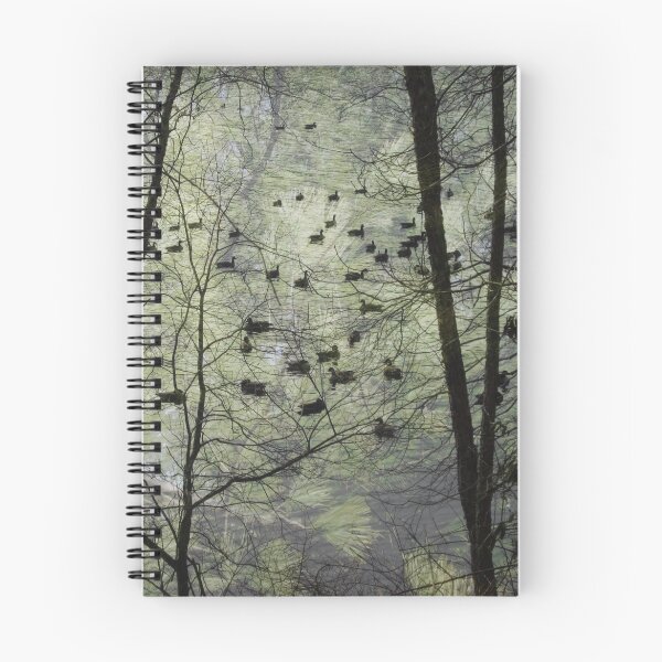 Item preview, Pine Barren Sanctuary designed and sold by RVogler.