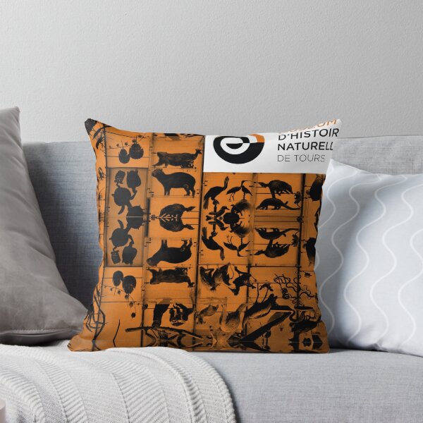 Item preview, museum designed and sold by Rafael Carapinha.