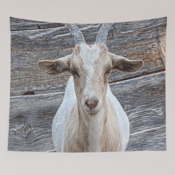 Item preview, beautiful goat beautiful wood designed and sold by Stephanie  Skeem.